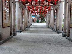 -广州神农草堂中医药博物馆