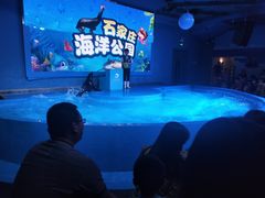 -石家庄海洋公园