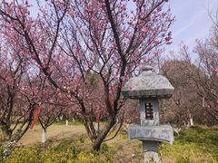 -开福禅寺