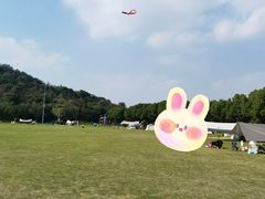 -羊山湖公园