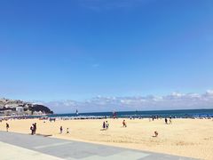-海云台海滩