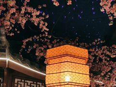 -荷塘秋月·本帮江浙菜(国权路店)