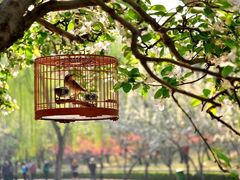 -元大都城垣遗址公园