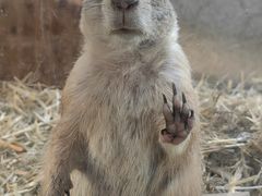 -海合安武汉极地海洋公园