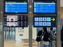 -成吉思汗国际机场