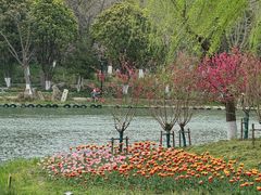 -圩墩遗址公园