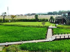 -禾悦庄餐厅