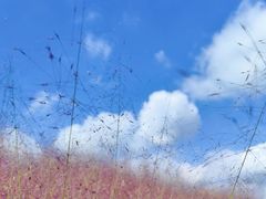 -嘉北郊野公园