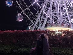 -琴岛之星摩天轮