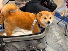-香港会议展览中心演讲厅