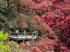 -木兰云雾山