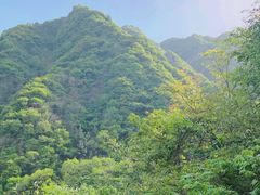 -秦岭风景区