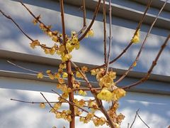 -狼山风景名胜区