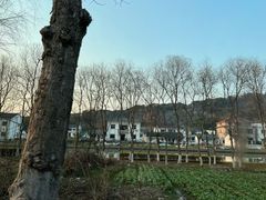 -上海佘山国家森林公园天马山园