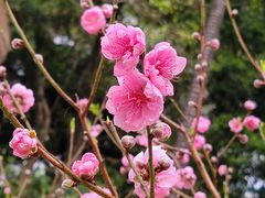 -桃花涧