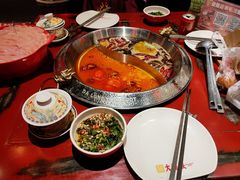 -大龙燚·旷野鲜火锅(广州首店)