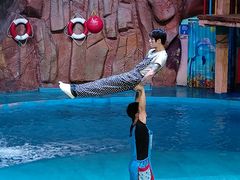 -烟台海昌鲸鲨海洋公园