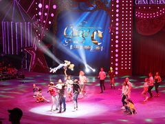 -珠海横琴长隆《卡卡虎奇遇记》