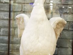 -西安烤鸭店(369烤鸭王店)