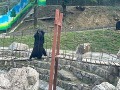 -栾川竹海野生动物园