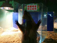 -白鹿仓冰雪海洋世界