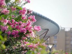 -杭州城北体育公园