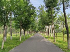 -东郊湿地公园