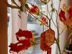 -Tomacado花厨(One ITC店)