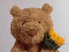 -极客修手机维修·电脑维修·家电维修清洗(珠江路店)