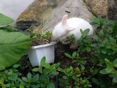 -伴山茶苑·一盏冰茶·半日山居