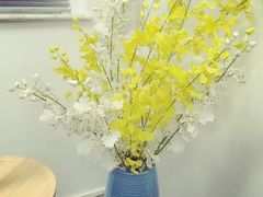 -绿房子心理咨询