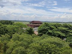 -大湾区中央湿地公园