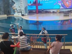 -三亚海昌梦幻海洋不夜城