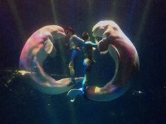 -芜湖新华联大白鲸海洋公园