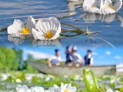 -丽江泸沽湖景区