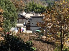 -塔川景区