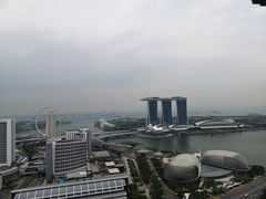 -新加坡瑞士史丹福酒店