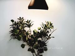 -铁手珈琲制造局metalhands(望京店)