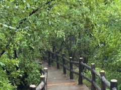 -栾川竹海野生动物园