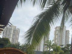 -亚马逊丛林水乐园