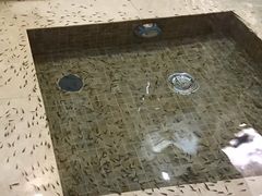 -中家鑫园温泉酒店鑫悦汤泉