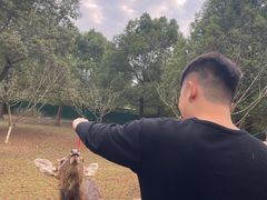 -秀丽东方