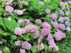 -常州古运河南大街文化旅游区-人民公园