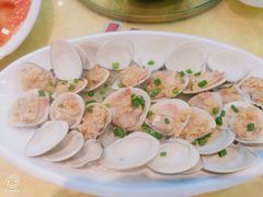 上川大沙白-台山美食一绝阿四台山黄鳝饭(阿四创作店)