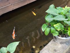 -蜀巷弯弯串串香(长春总店)