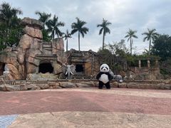 -美的鹭湖探索王国