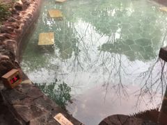 -苏州湾王焰温泉度假酒店
