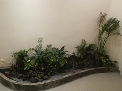 -康颜SPA自然疗愈皮肤管理中心