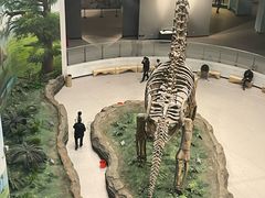 -辽宁古生物博物馆