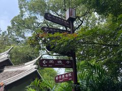 -岳麓山风景名胜区